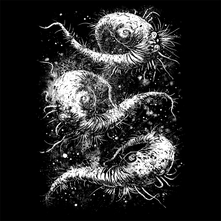Cosmic Worms